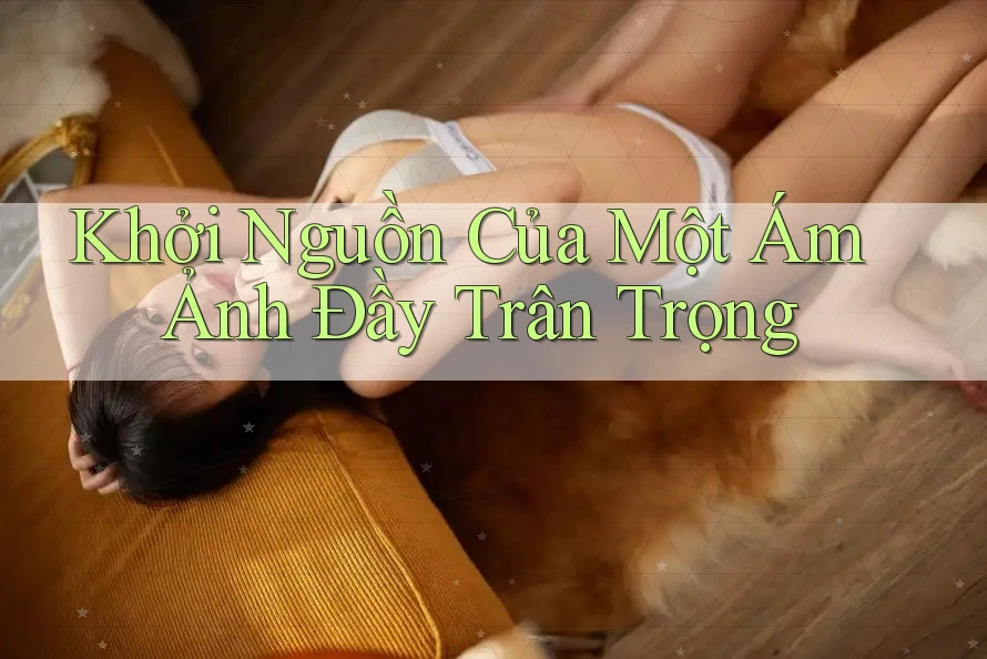 Khởi Nguồn Của Một Ám Ảnh Đầy Trân Trọng Khởi Nguồn Của Một Ám Ảnh Đầy Trân Trọng