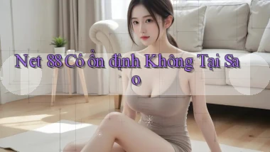 net 88 có ổn định không tại sao