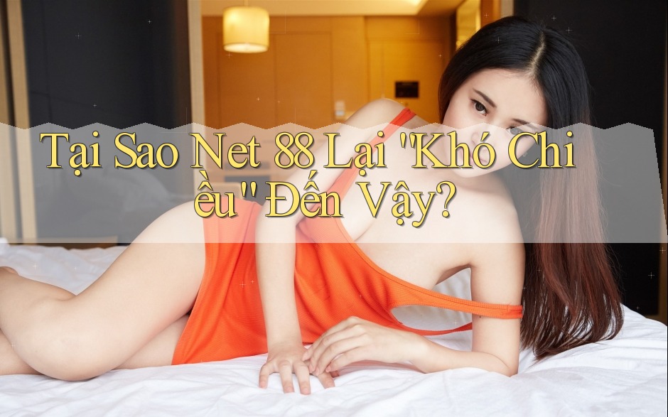Tại Sao Net 88 Lại “Khó Chiều” Đến Vậy?